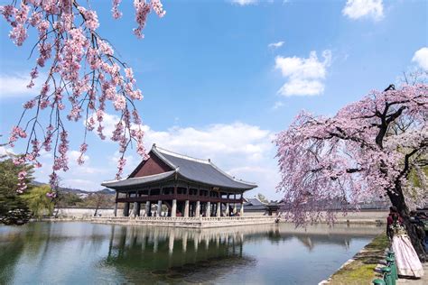 South korea travel. Things To Know About South korea travel. 